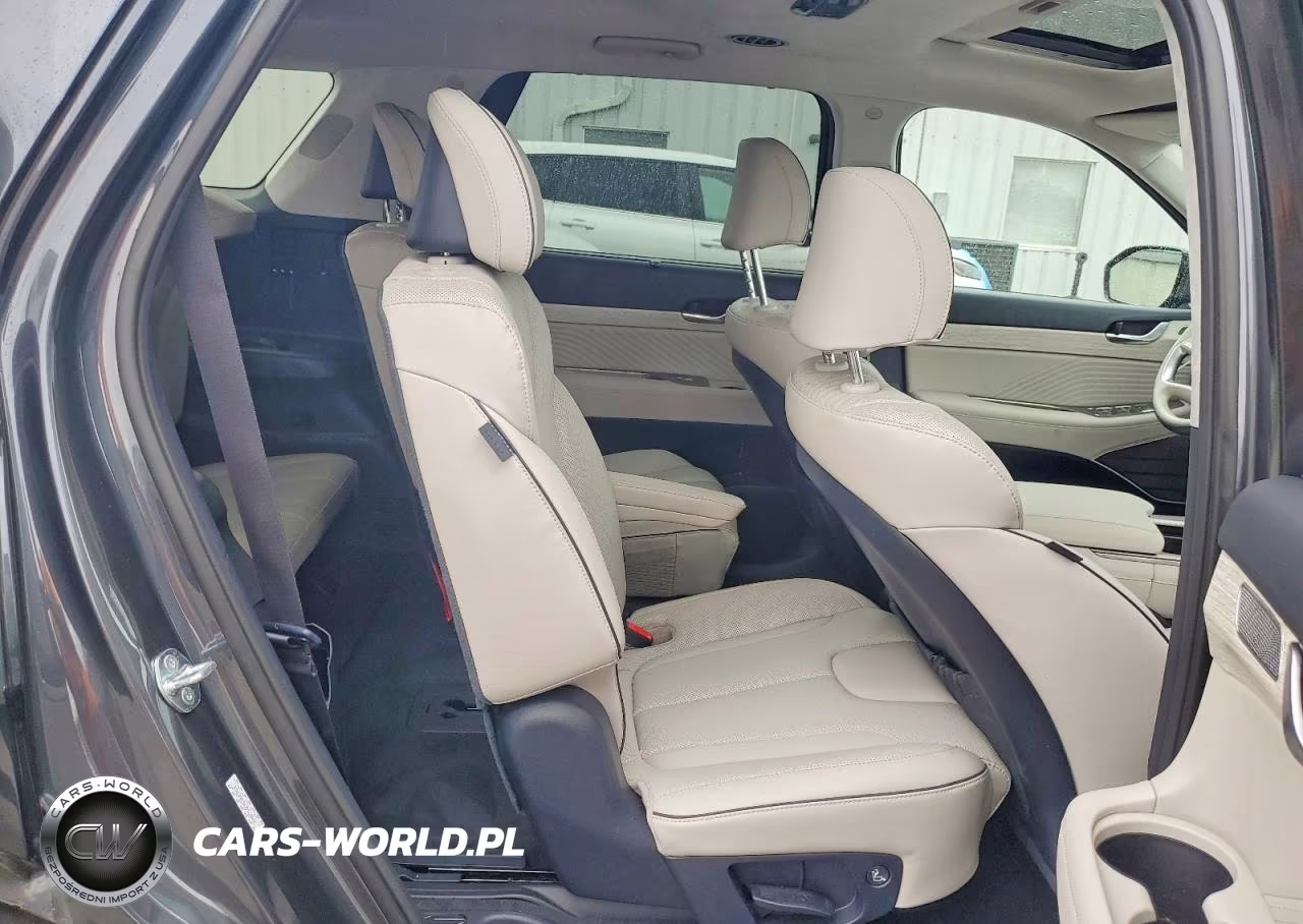 2025 Hyundai Palisade Calligraphy VIN:KM8R7DGE9SU807958 - 11