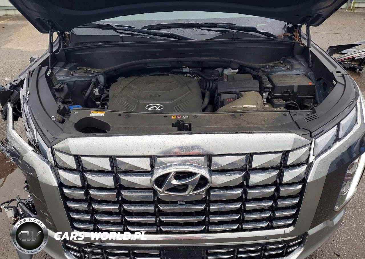 2025 Hyundai Palisade Calligraphy VIN:KM8R7DGE9SU807958 - 12