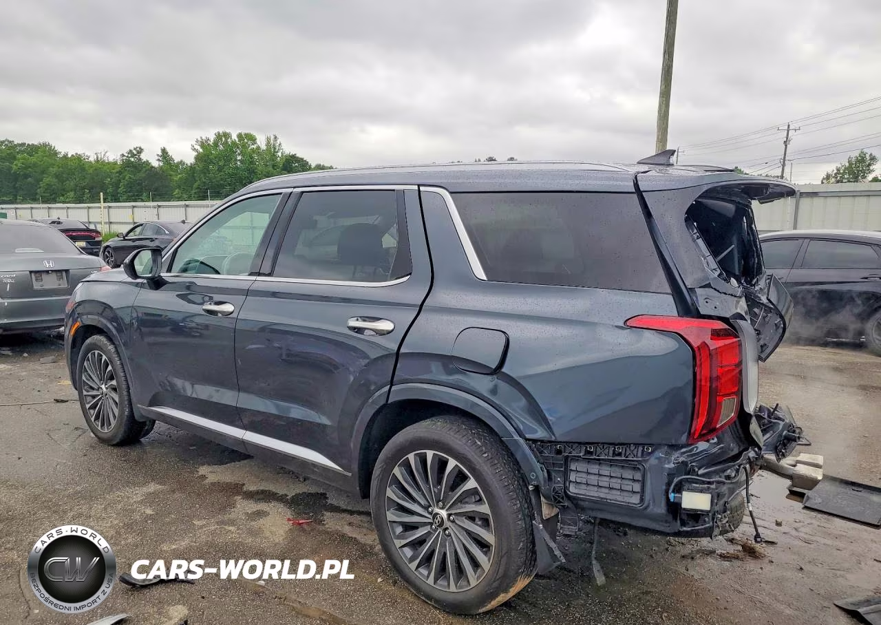 2025 Hyundai Palisade Calligraphy VIN:KM8R7DGE9SU807958 - 2