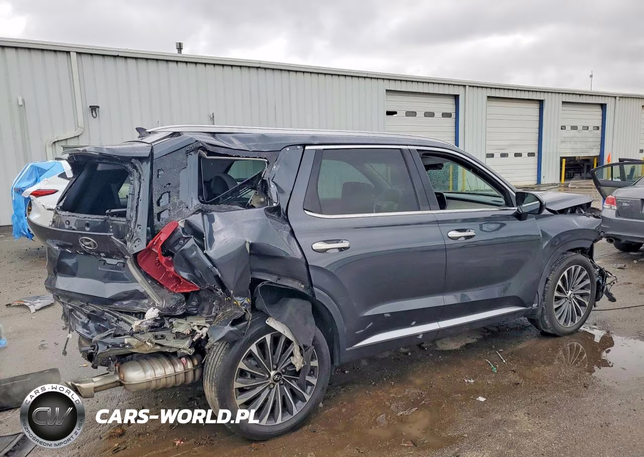 2025 Hyundai Palisade Calligraphy VIN:KM8R7DGE9SU807958 - 3