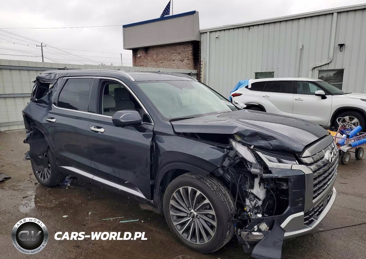 2025 Hyundai Palisade Calligraphy VIN:KM8R7DGE9SU807958 - 4