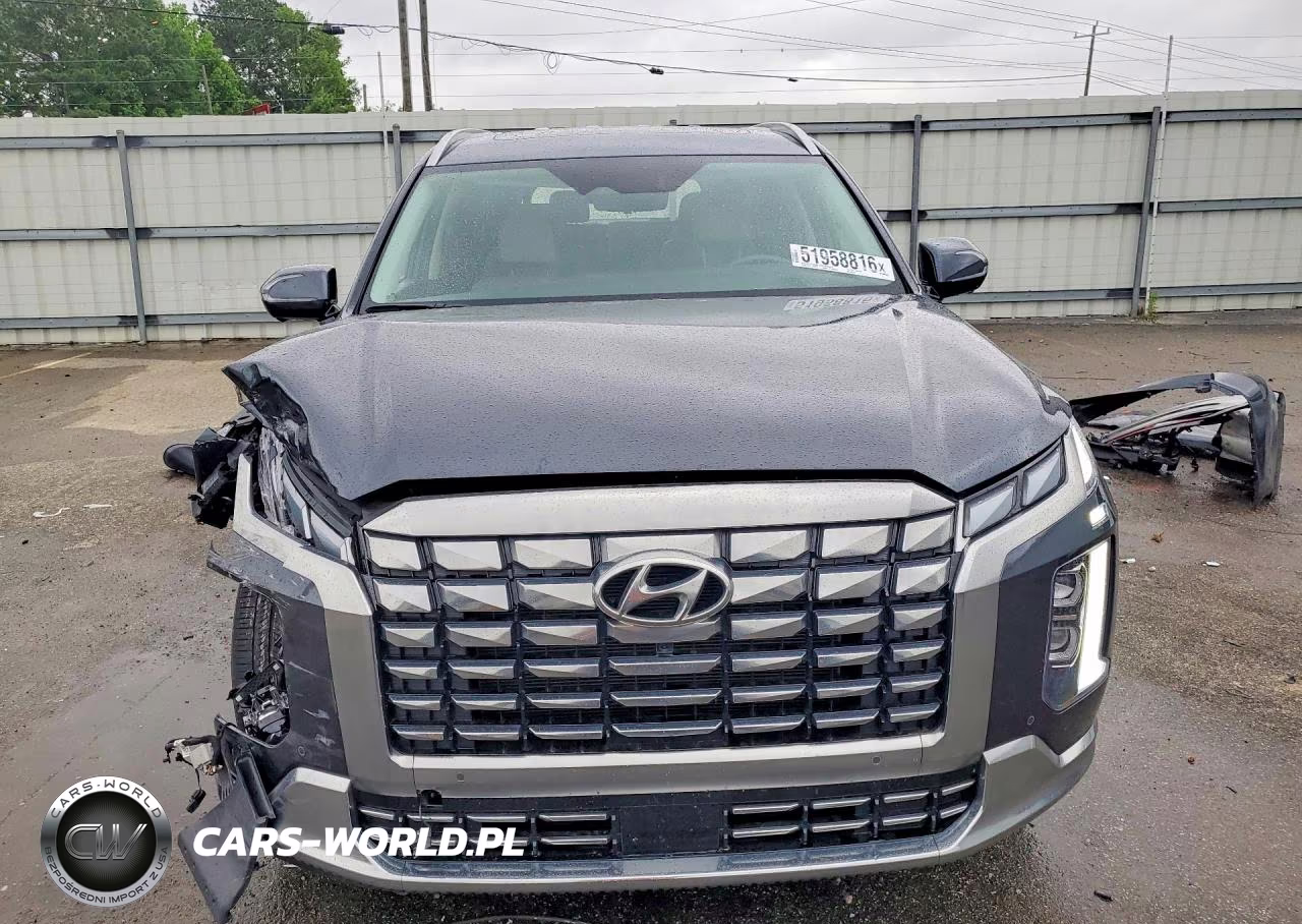 2025 Hyundai Palisade Calligraphy VIN:KM8R7DGE9SU807958 - 5