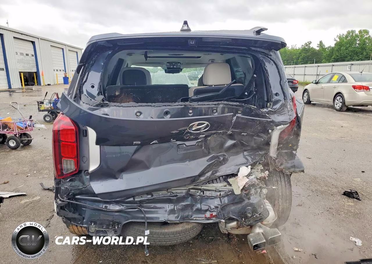 2025 Hyundai Palisade Calligraphy VIN:KM8R7DGE9SU807958 - 6