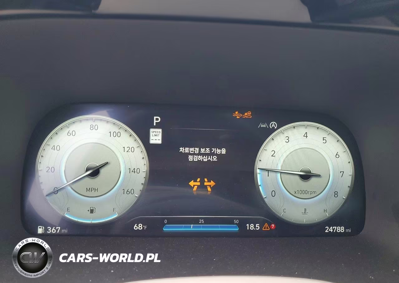 2025 Hyundai Palisade Calligraphy VIN:KM8R7DGE9SU807958 - 9