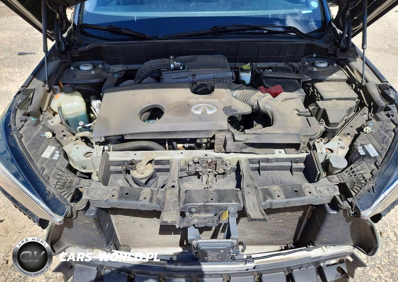 2019 Infiniti Qx50 Essential VIN:3PCAJ5M15KF121158 - 12