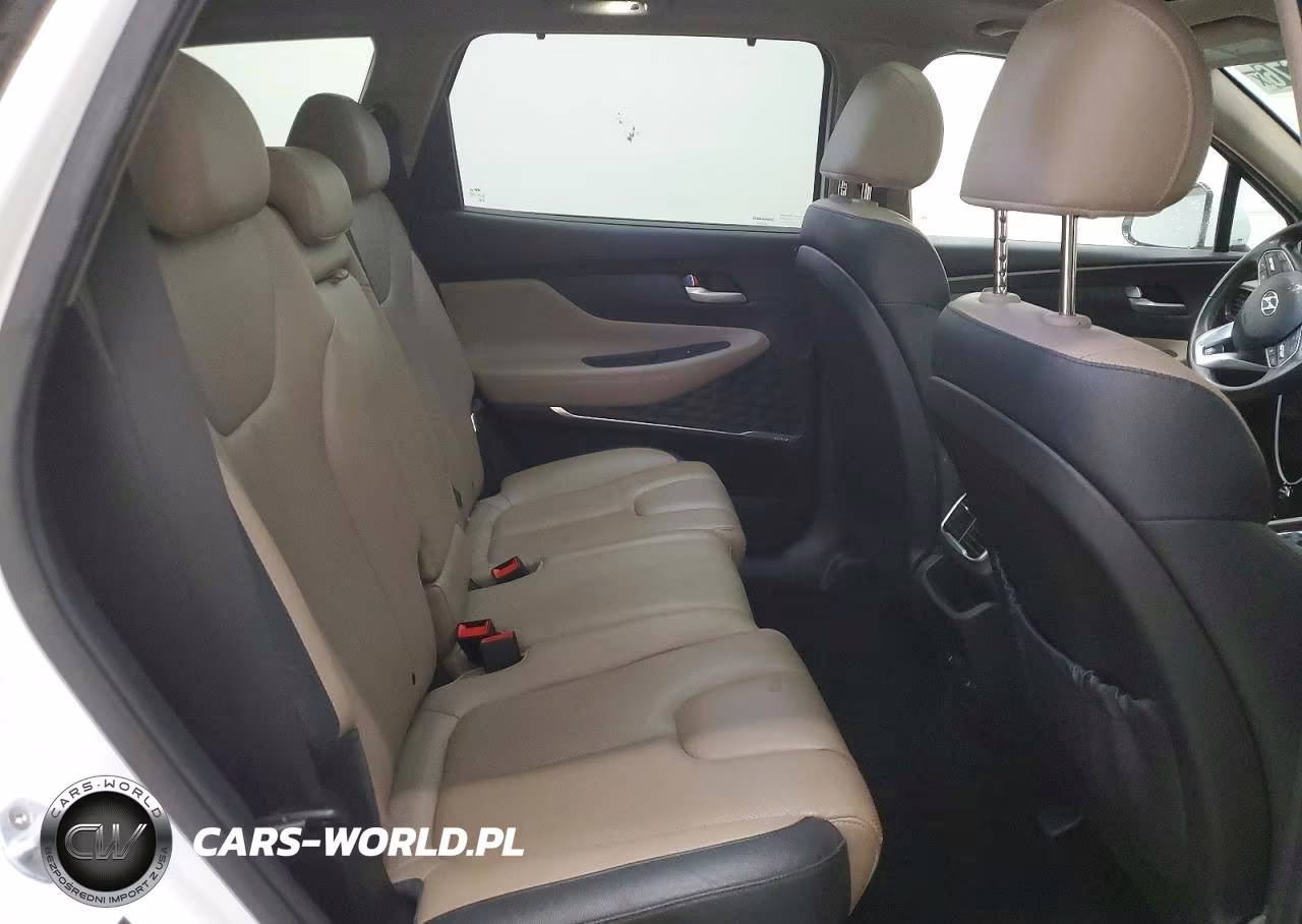 2019 Hyundai Santa Fe Limited 2.0T VIN:5NMS53AA7KH108556 - 11