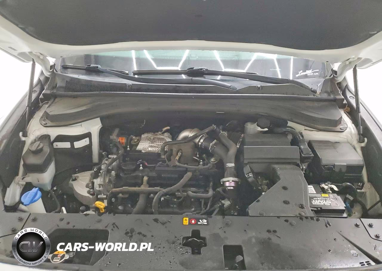 2019 Hyundai Santa Fe Limited 2.0T VIN:5NMS53AA7KH108556 - 12