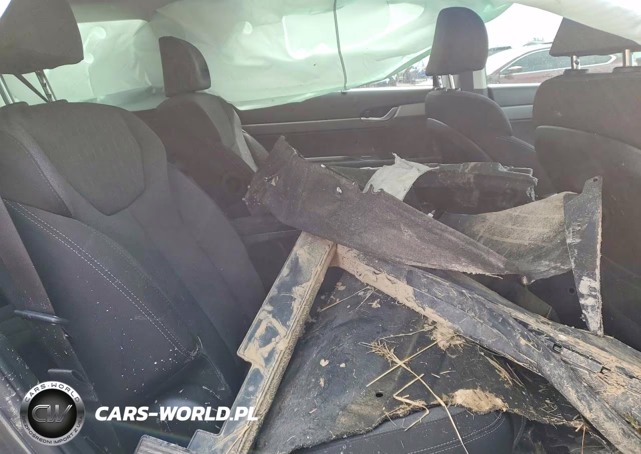 2021 Hyundai Palisade Sel VIN:KM8R3DHE3MU274213 - 10
