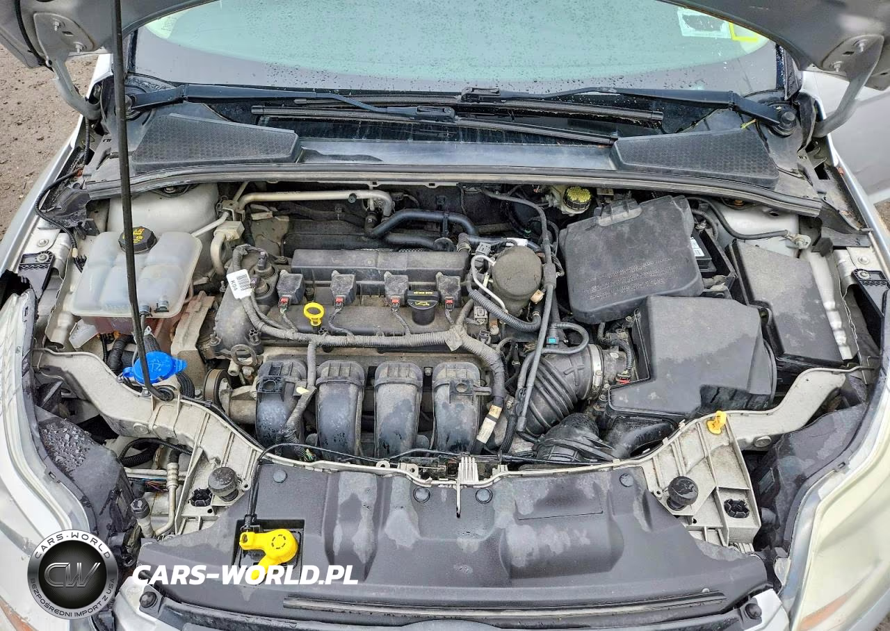 2014 Ford Focus Se VIN:1FADP3F22EL346392 - 11