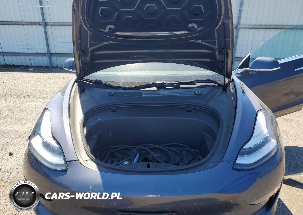 2020 Tesla Model 3 VIN:5YJ3E1EA9LF784934 - 11