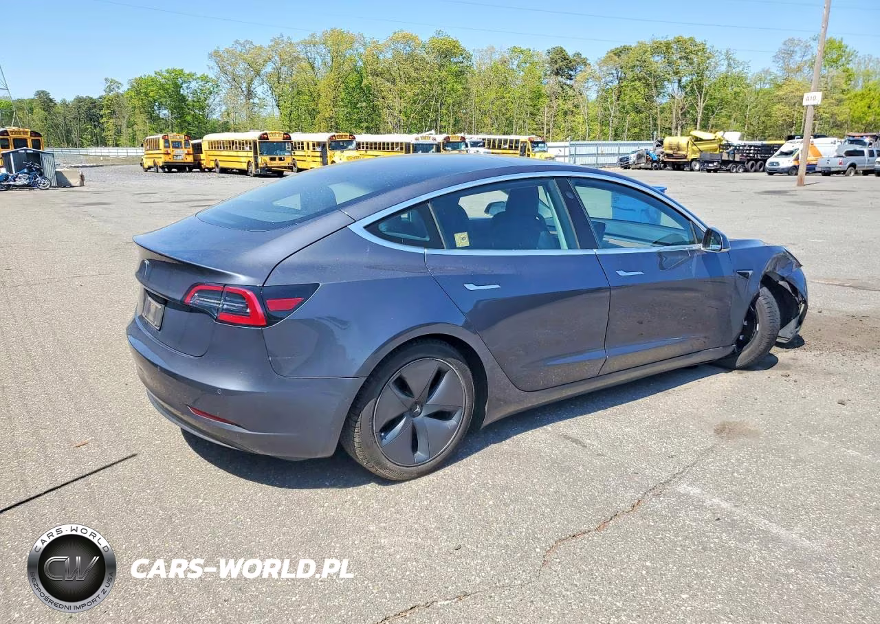 2020 Tesla Model 3 VIN:5YJ3E1EA9LF784934 - 3