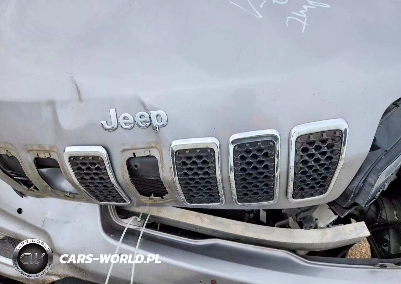 2019 Jeep Cherokee Limited VIN:1C4PJMDN7KD166133 - 11