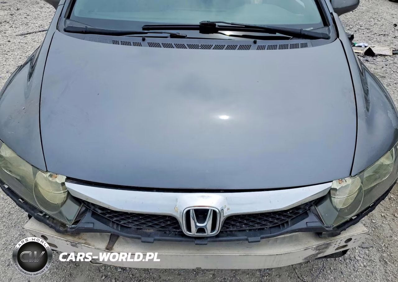 2010 Honda Civic Lx VIN:19XFA1F56AE046425 - 11