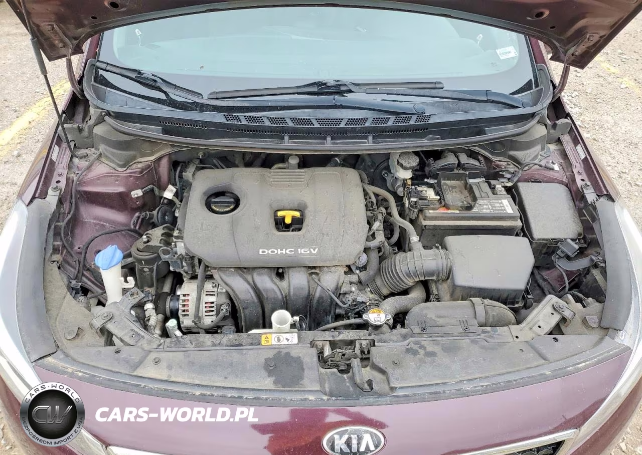 2017 Kia Forte Lx VIN:3KPFL4A79HE012316 - 11