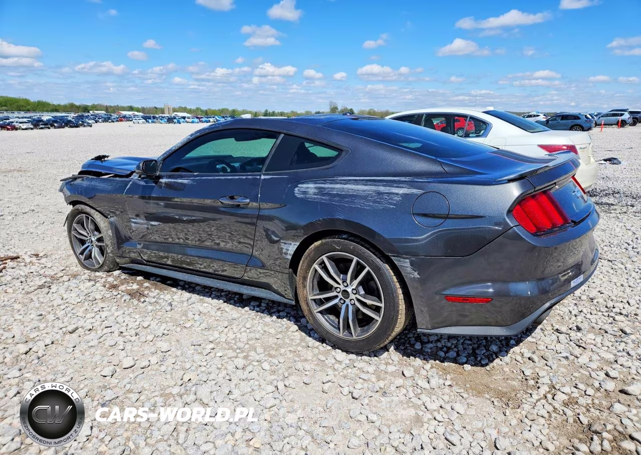 2017 Ford Mustang Gt VIN:1FA6P8CFXH5303506 - 2