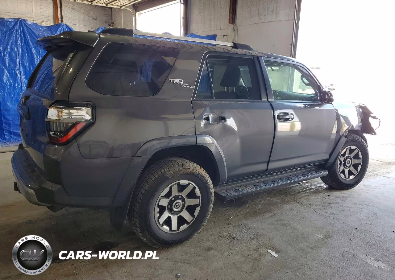 2017 Toyota 4Runner Trd Off-Road Premium VIN:JTEBU5JR2H5465428 - 3