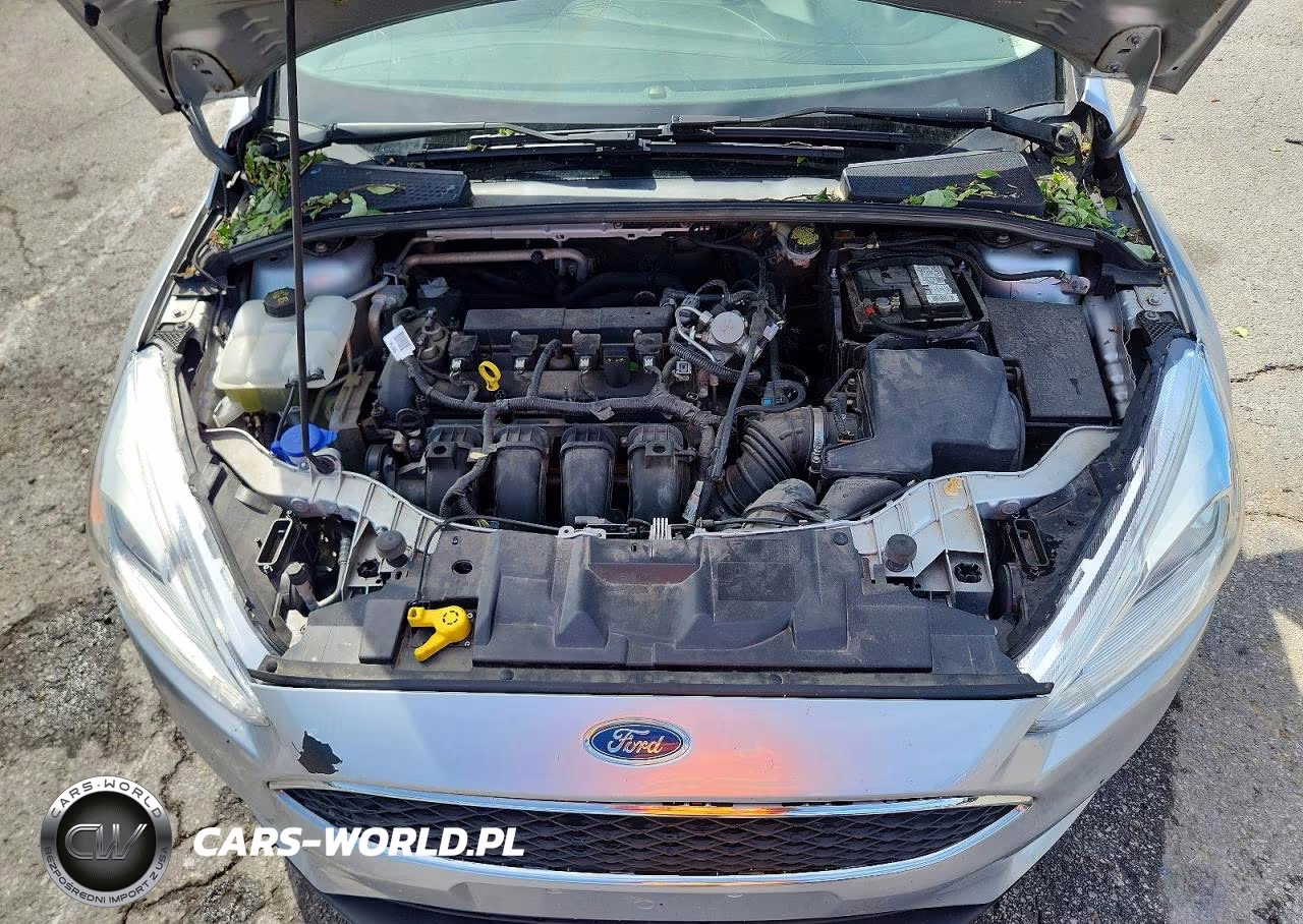 2016 Ford Focus Se VIN:1FADP3K23GL372413 - 12