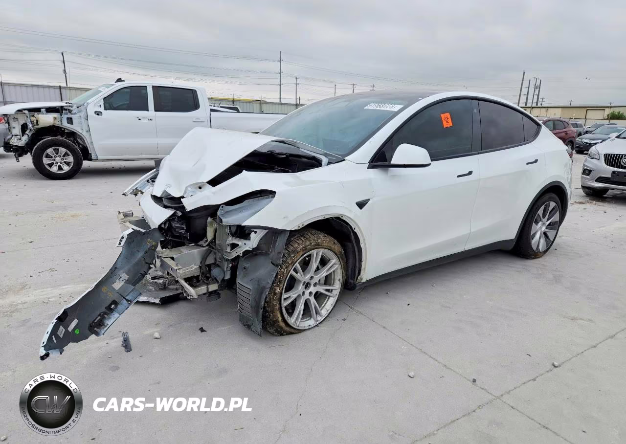 2020 Tesla Model Y