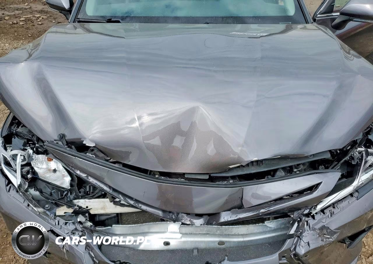 2019 Toyota Camry Se VIN:4T1B11HK2KU814952 - 11