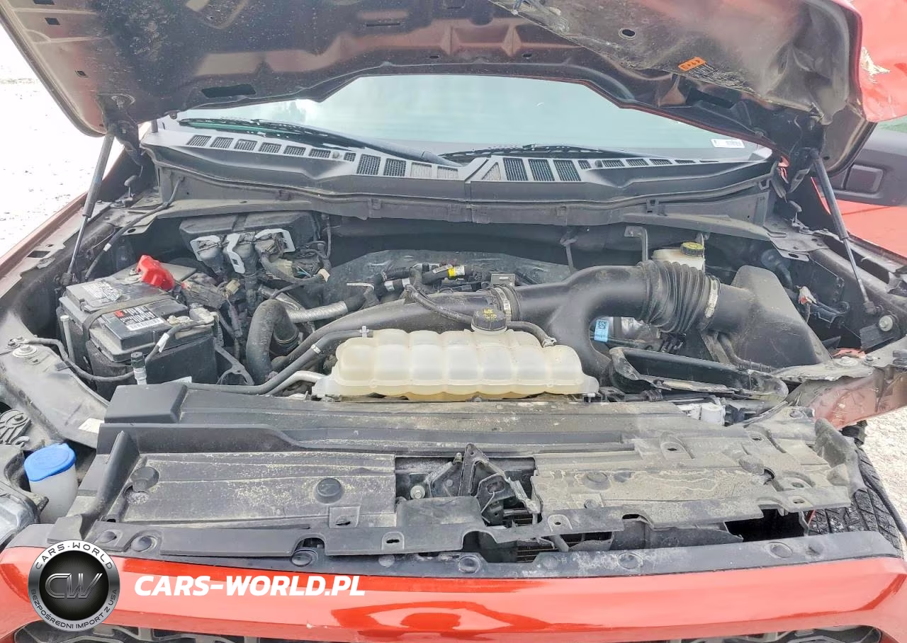 2023 Ford F150 Supercrew VIN:1FTEW1CP2PKE22451 - 11