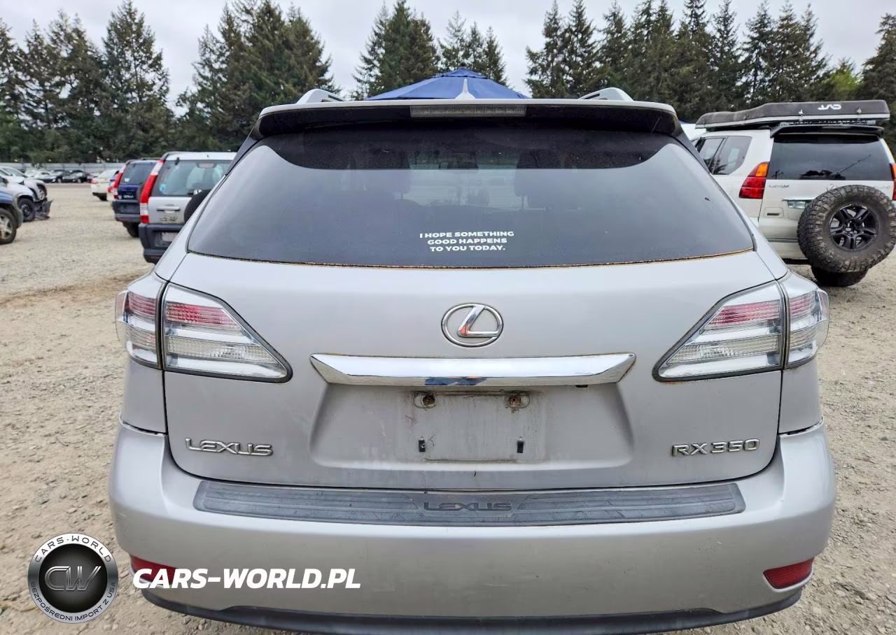2010 Lexus Rx 350 VIN:2T2BK1BA2AC028559 - 6
