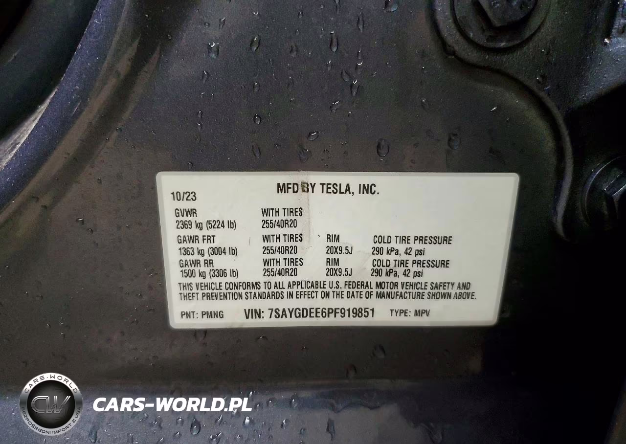 2023 Tesla Model Y VIN:7SAYGDEE6PF919851 - 12