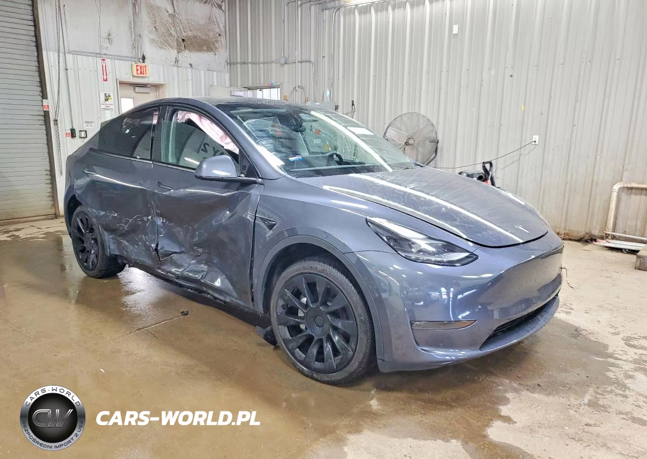 2023 Tesla Model Y VIN:7SAYGDEE6PF919851 - 4