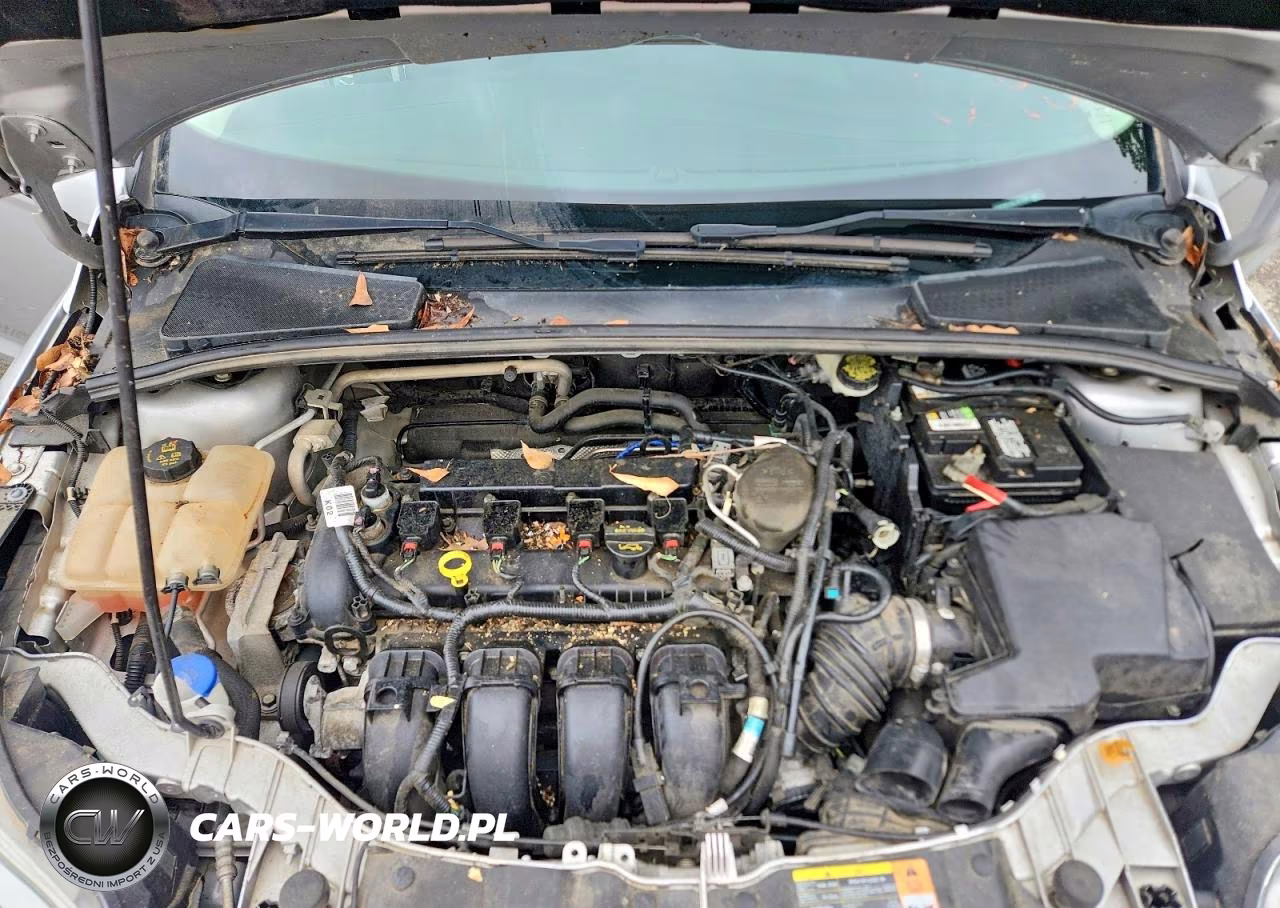 2014 Ford Focus Se VIN:1FADP3F21EL181404 - 11