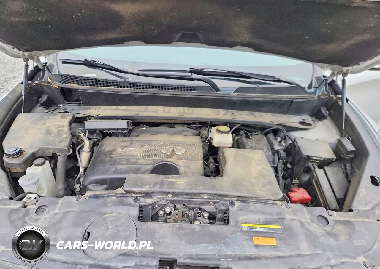 2020 Infiniti Qx60 Pure VIN:5N1DL0MN8LC533842 - 12