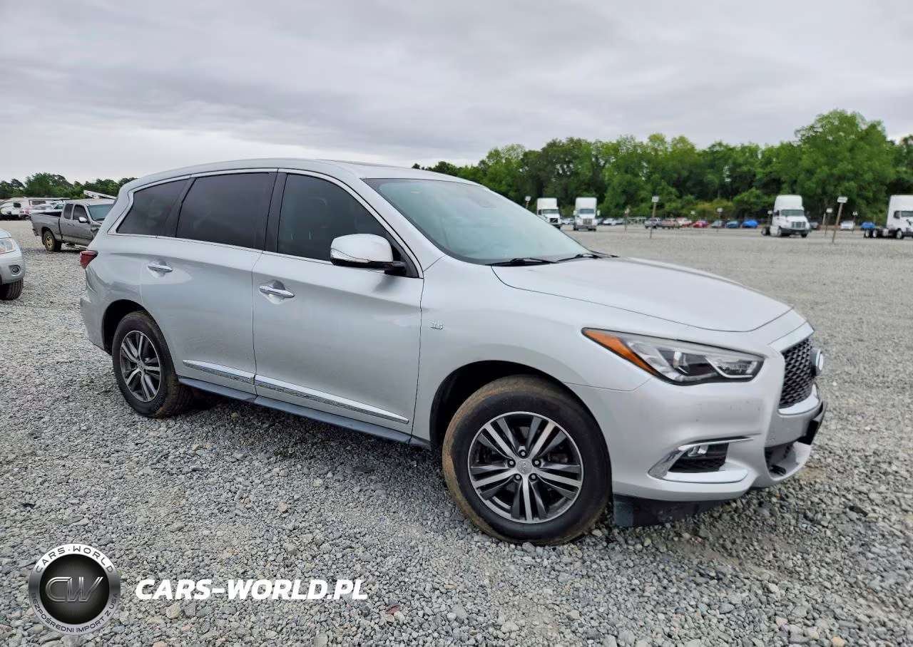 2020 Infiniti Qx60 Pure VIN:5N1DL0MN8LC533842 - 4