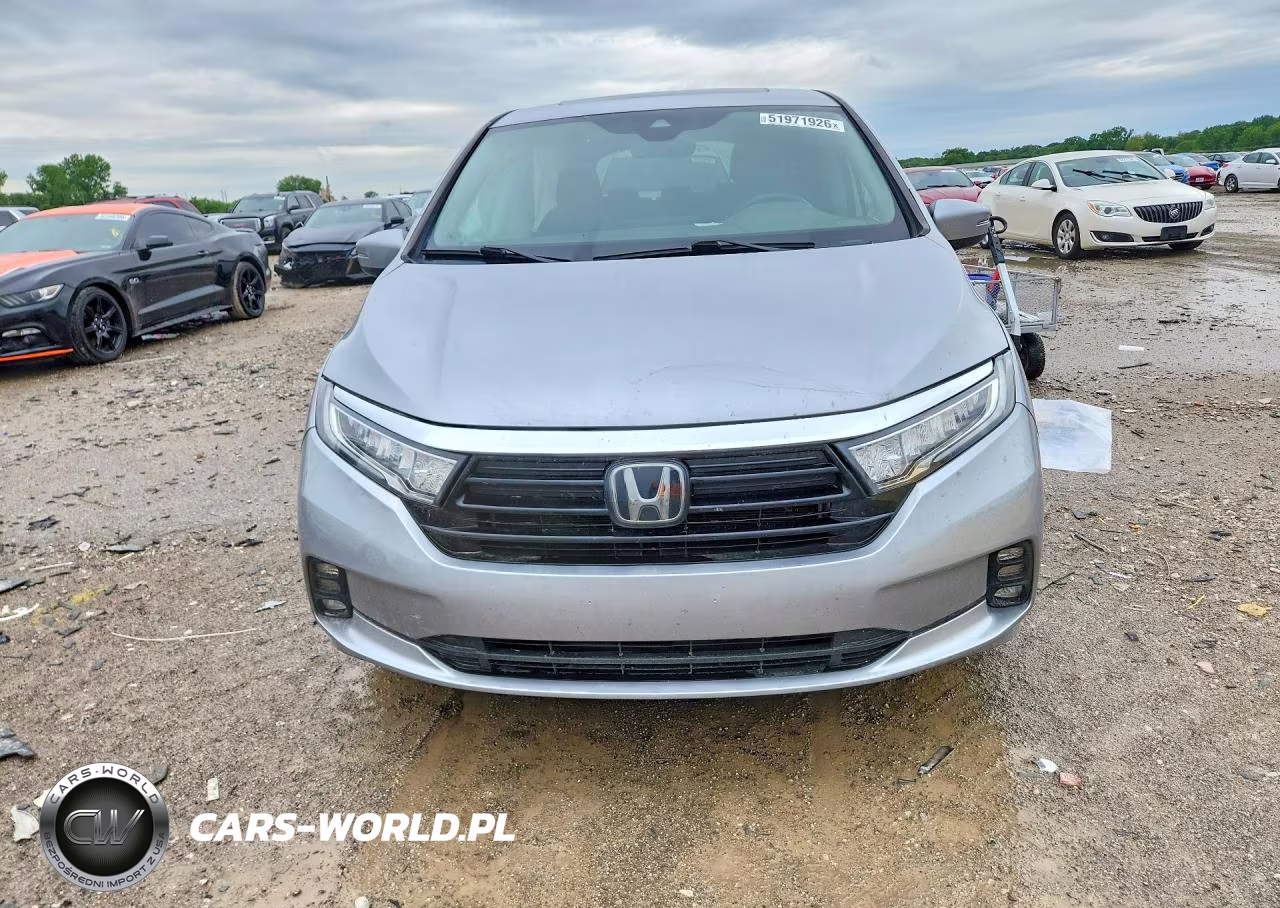 2024 Honda Odyssey Exl VIN:5FNRL6H67RB056025 - 5