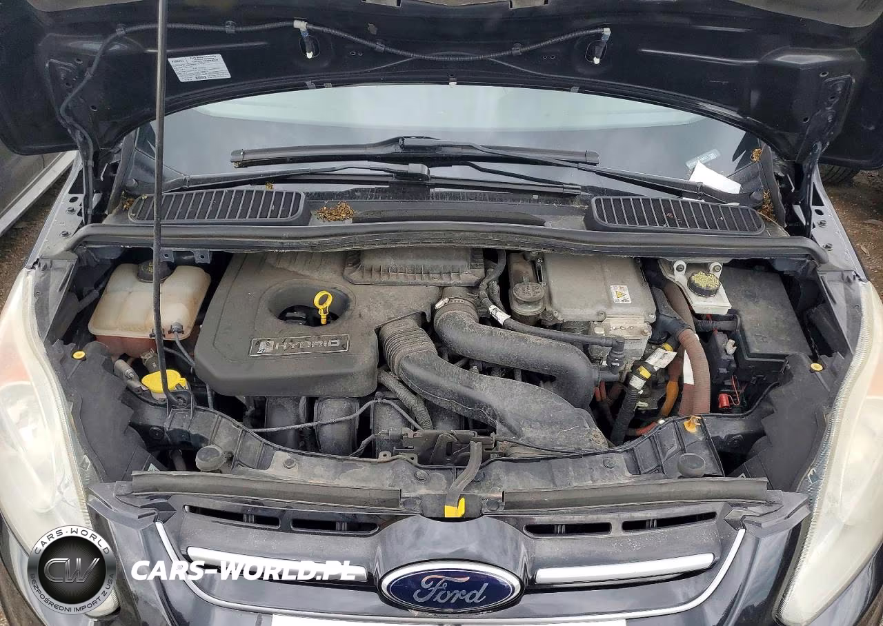 2014 Ford C-Max Sel VIN:1FADP5BU1EL509360 - 11
