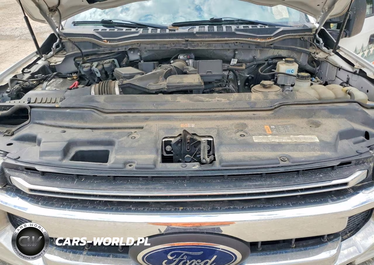 2021 Ford F250 Super Duty VIN:1FTBF2B62MEC17336 - 11