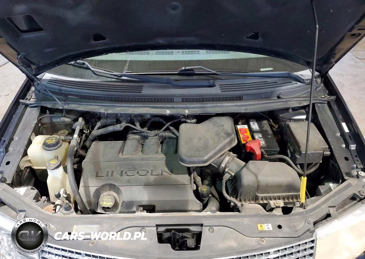 2009 Lincoln Mkx VIN:2LMDU88C99BJ09409 - 12