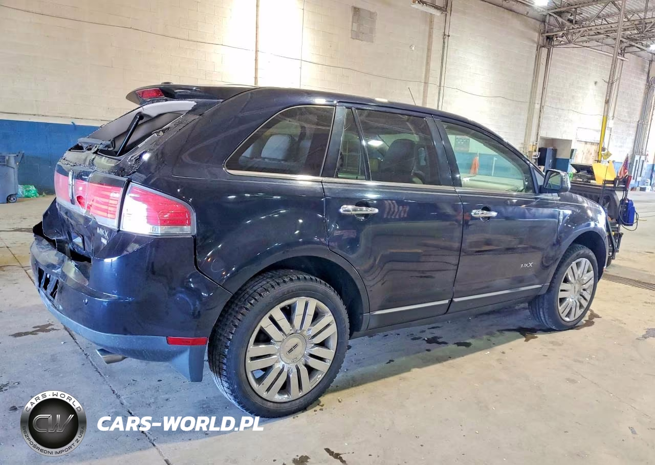 2009 Lincoln Mkx VIN:2LMDU88C99BJ09409 - 3