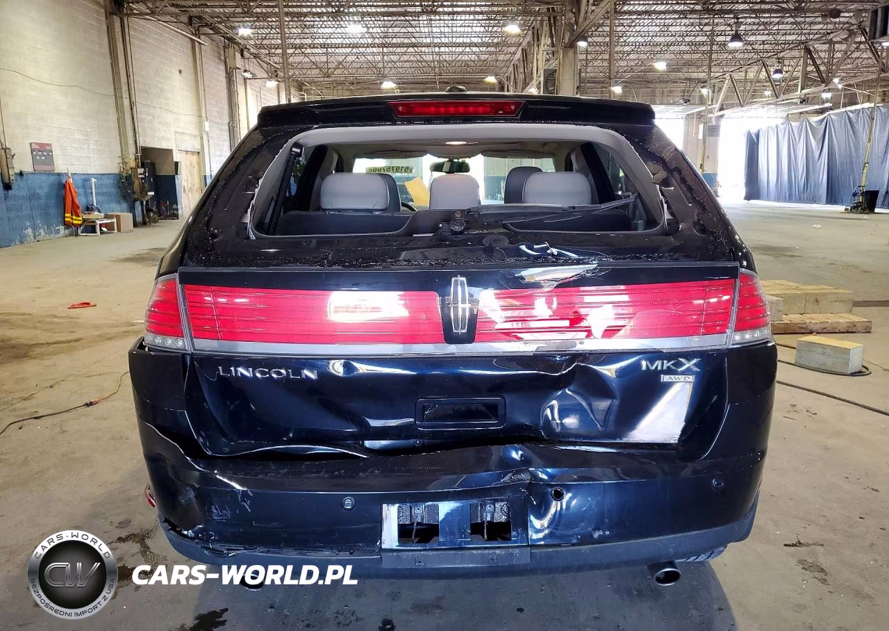 2009 Lincoln Mkx VIN:2LMDU88C99BJ09409 - 6