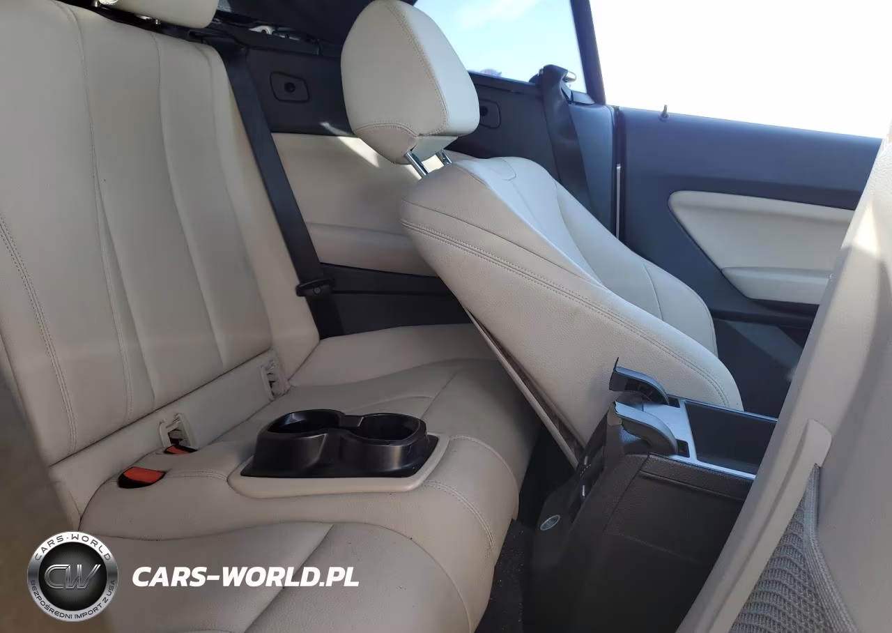 2016 BMW 228 I Sulev VIN:WBA1K9C59GV321619 - 10