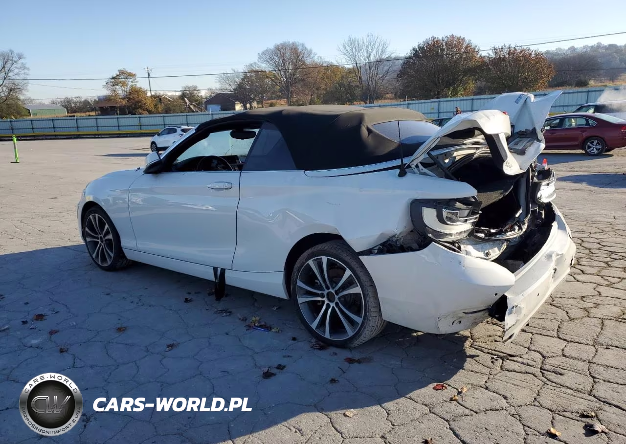 2016 BMW 228 I Sulev VIN:WBA1K9C59GV321619 - 2