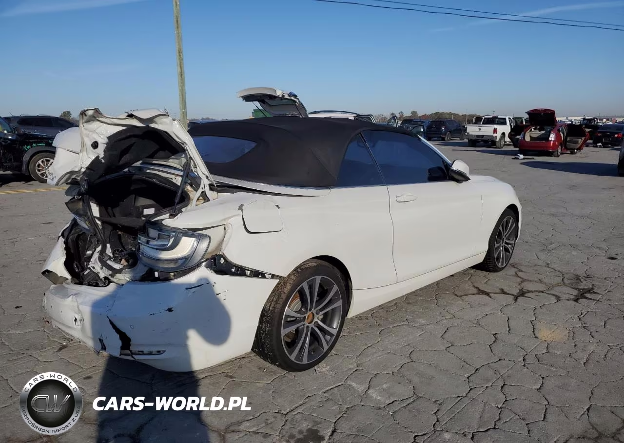 2016 BMW 228 I Sulev VIN:WBA1K9C59GV321619 - 3