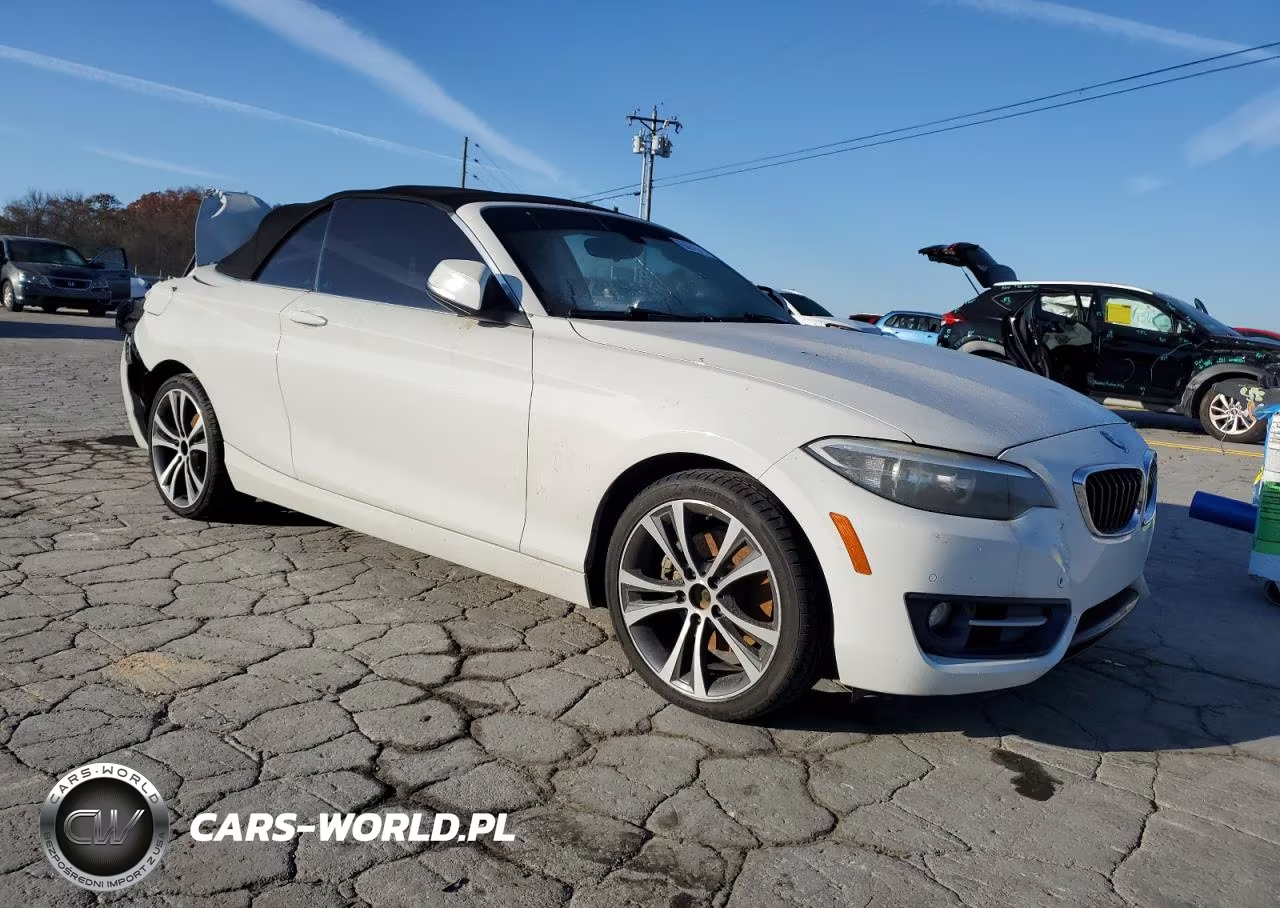 2016 BMW 228 I Sulev VIN:WBA1K9C59GV321619 - 4