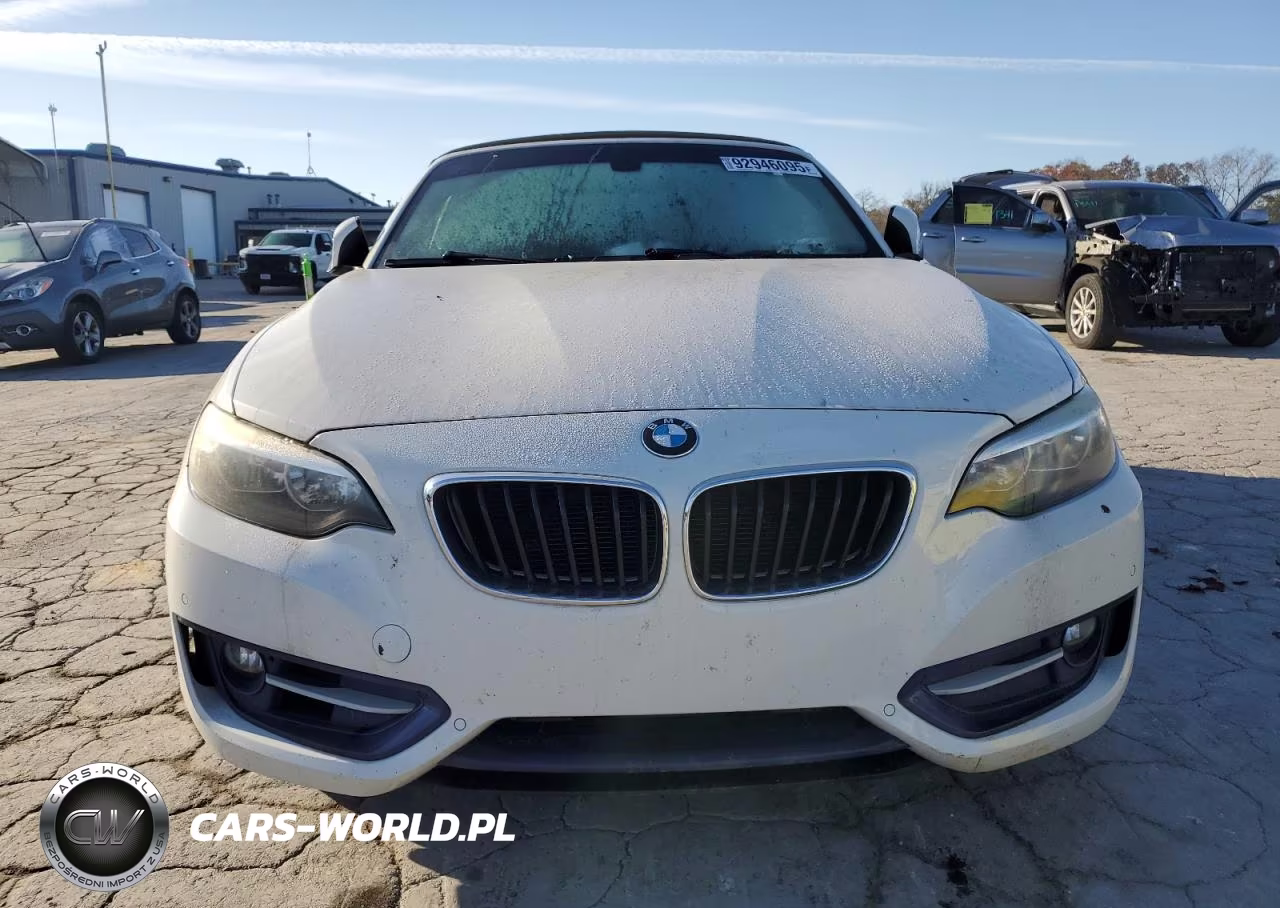 2016 BMW 228 I Sulev VIN:WBA1K9C59GV321619 - 5