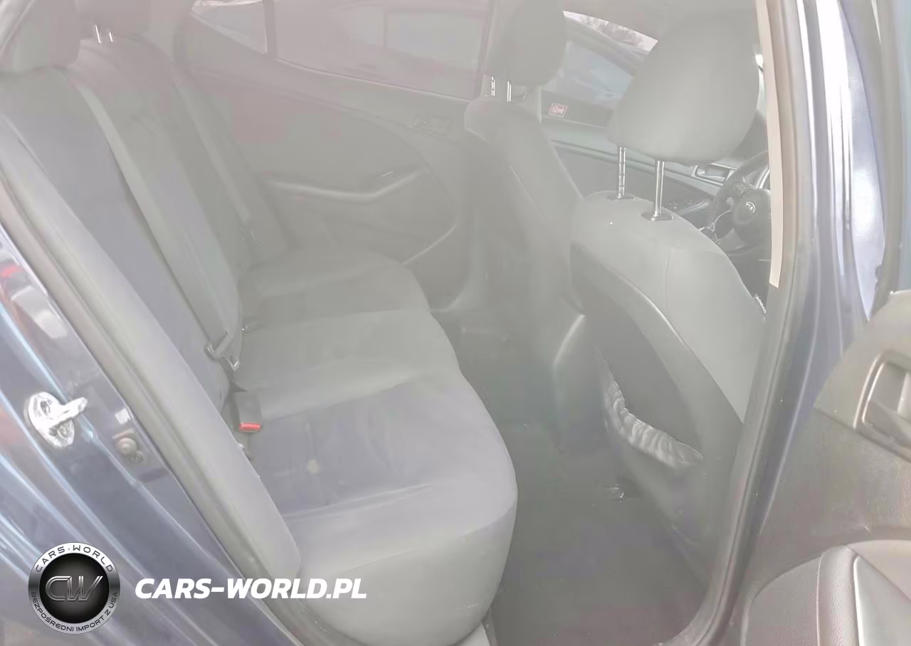 2015 Kia Optima Lx VIN:5XXGM4A73FG424186 - 10