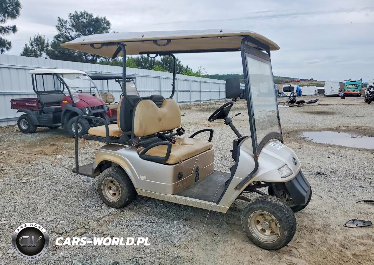 2006 Star Ev Golf Cart – zdjęcie 1 z 10