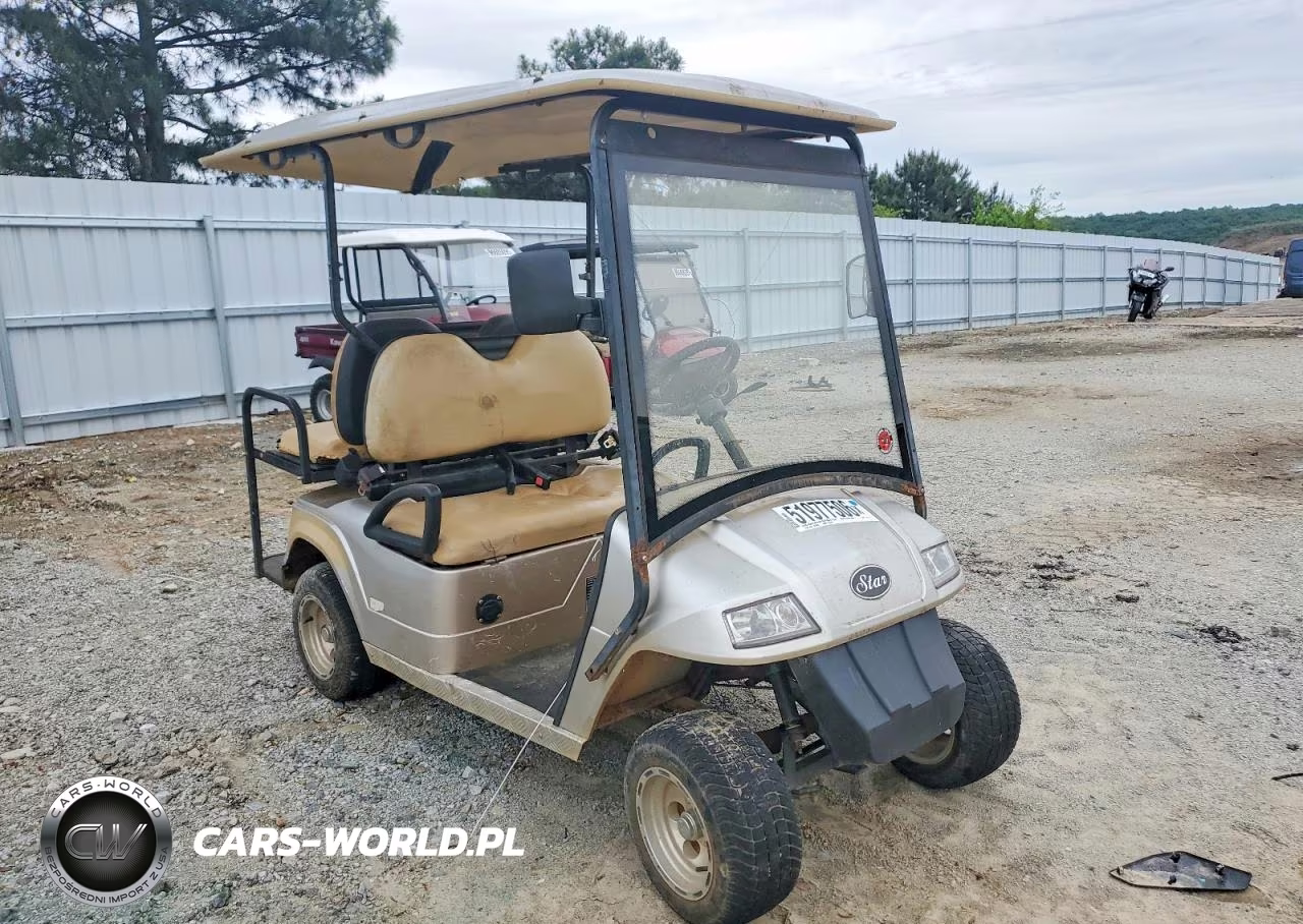 2006 Star Ev Golf Cart VIN:52RG38025AG000302 - 9