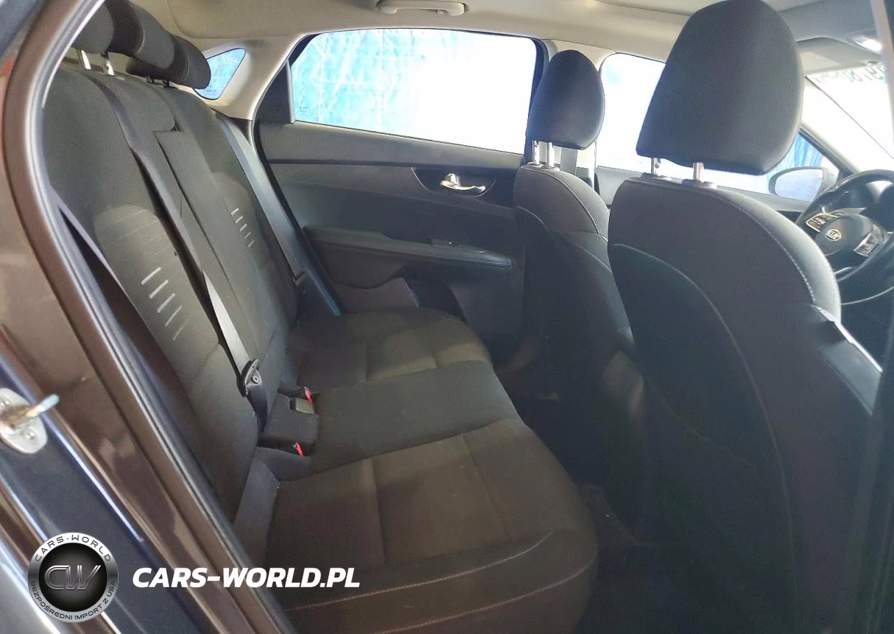 2019 Kia Forte S VIN:3KPF34AD2KE048619 - 10