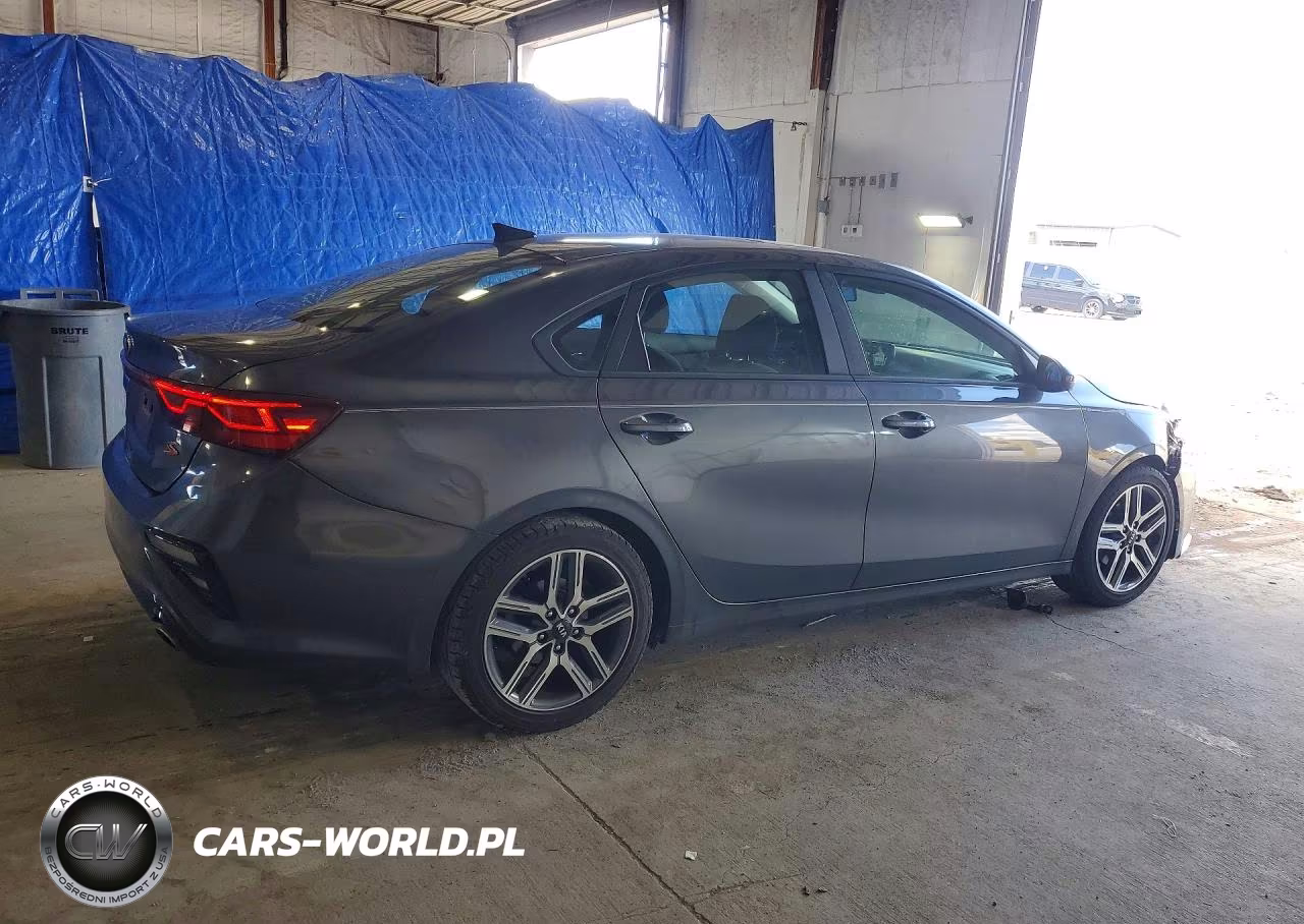 2019 Kia Forte S VIN:3KPF34AD2KE048619 - 3