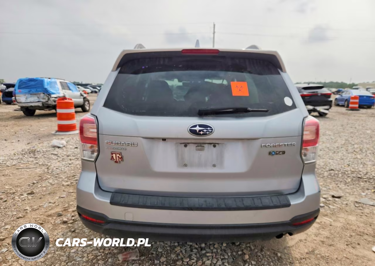 2018 Subaru Forester 2.5I Premium VIN:JF2SJAGC3JH502324 - 6
