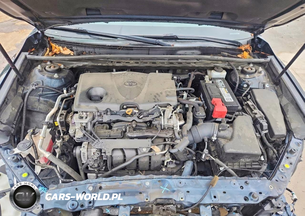 2019 Toyota Camry Le VIN:4T1B11HK6KU826201 - 11