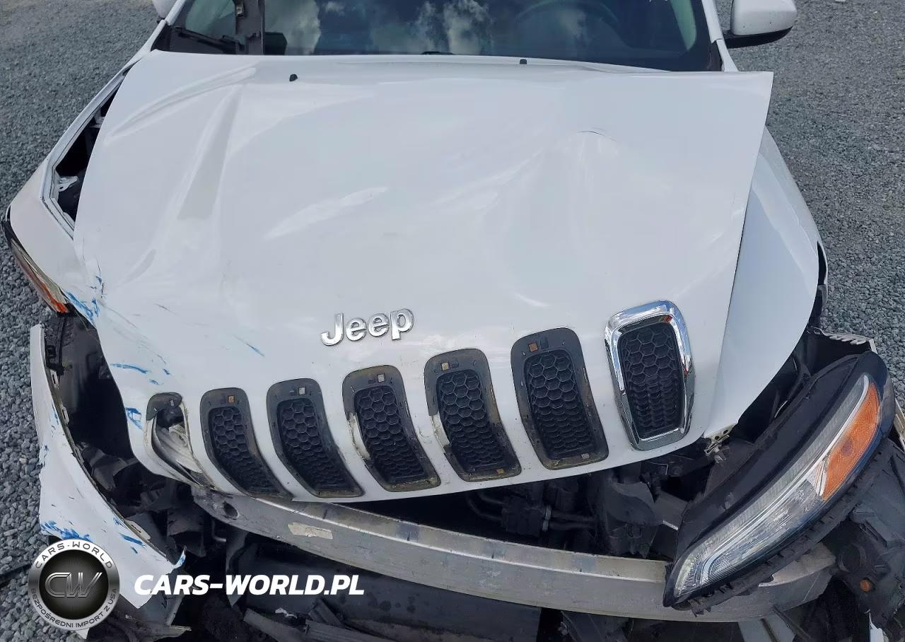 2016 Jeep Cherokee Latitude VIN:1C4PJMCB2GW282715 - 11