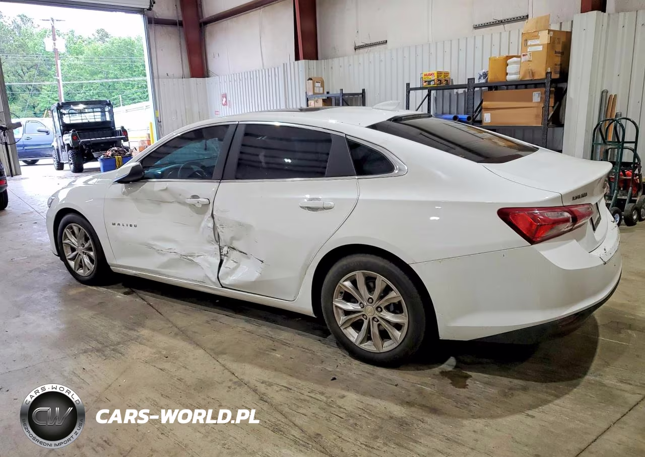 2019 Chevrolet Malibu Lt VIN:1G1ZD5ST5KF223837 - 2
